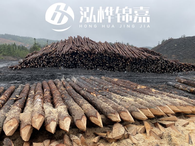 6米長松木樁有哪些作用，多少錢一根？