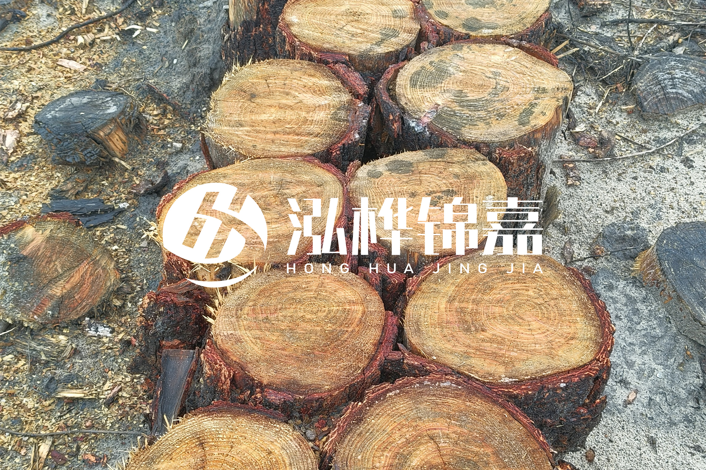 浙江臺州有清淤的公司嗎？浙江臺州有清淤施工隊嗎？