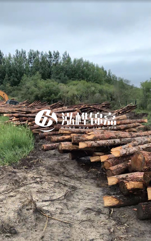 甘肅河道清淤工程公司-為什么要進行河道清淤？