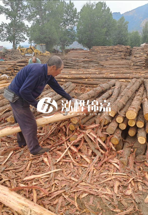 東營(yíng)河道清淤專業(yè)施工隊(duì)-不同型號(hào)挖機(jī)清淤能力對(duì)比？