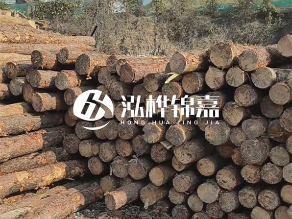 落葉松木材的主要產(chǎn)地在哪里？為什么比其他松木更耐腐蝕？