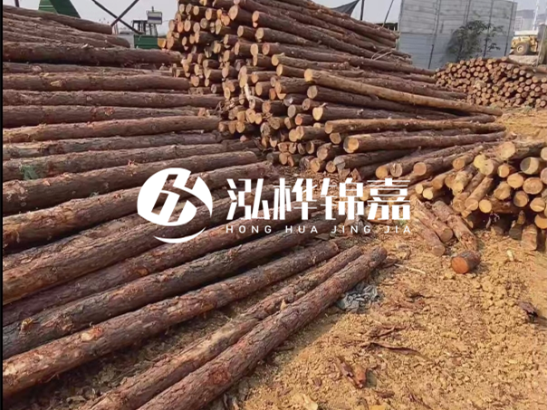 河道木樁施工遇到淤泥怎么辦？打多深才能防沖刷？