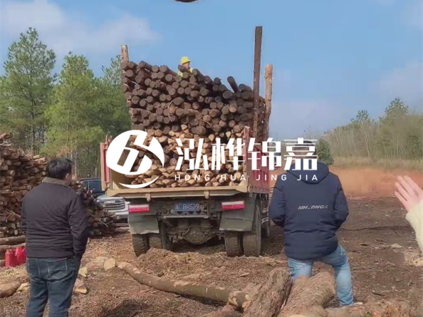 防腐木樁價格比普通木樁貴多少？防腐木樁有哪些處理方式？