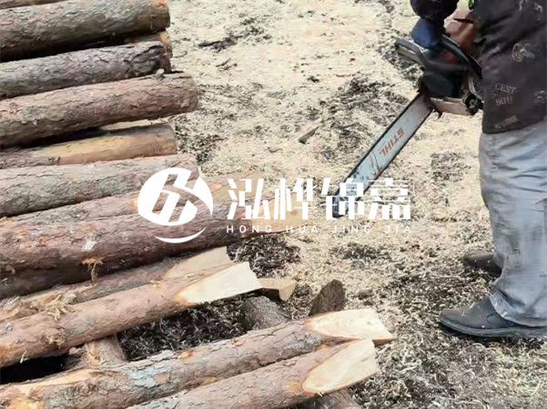 杉木樁批發(fā)廠家哪家好？產地直供渠道推薦！