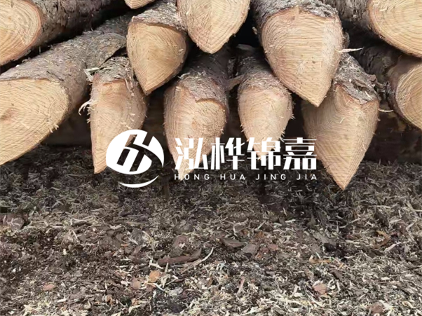 打樁木樁與鋼樁相比有哪些優(yōu)缺點？如何進行后期維護？