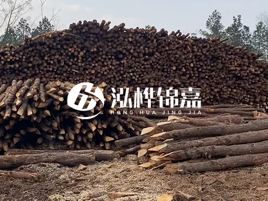地基打木樁用什么木材 - 地基打木樁的能撐幾年？