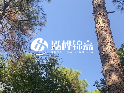 松木樁廠家的供貨能力強不強-怎么才能聯(lián)系到松木樁廠家？