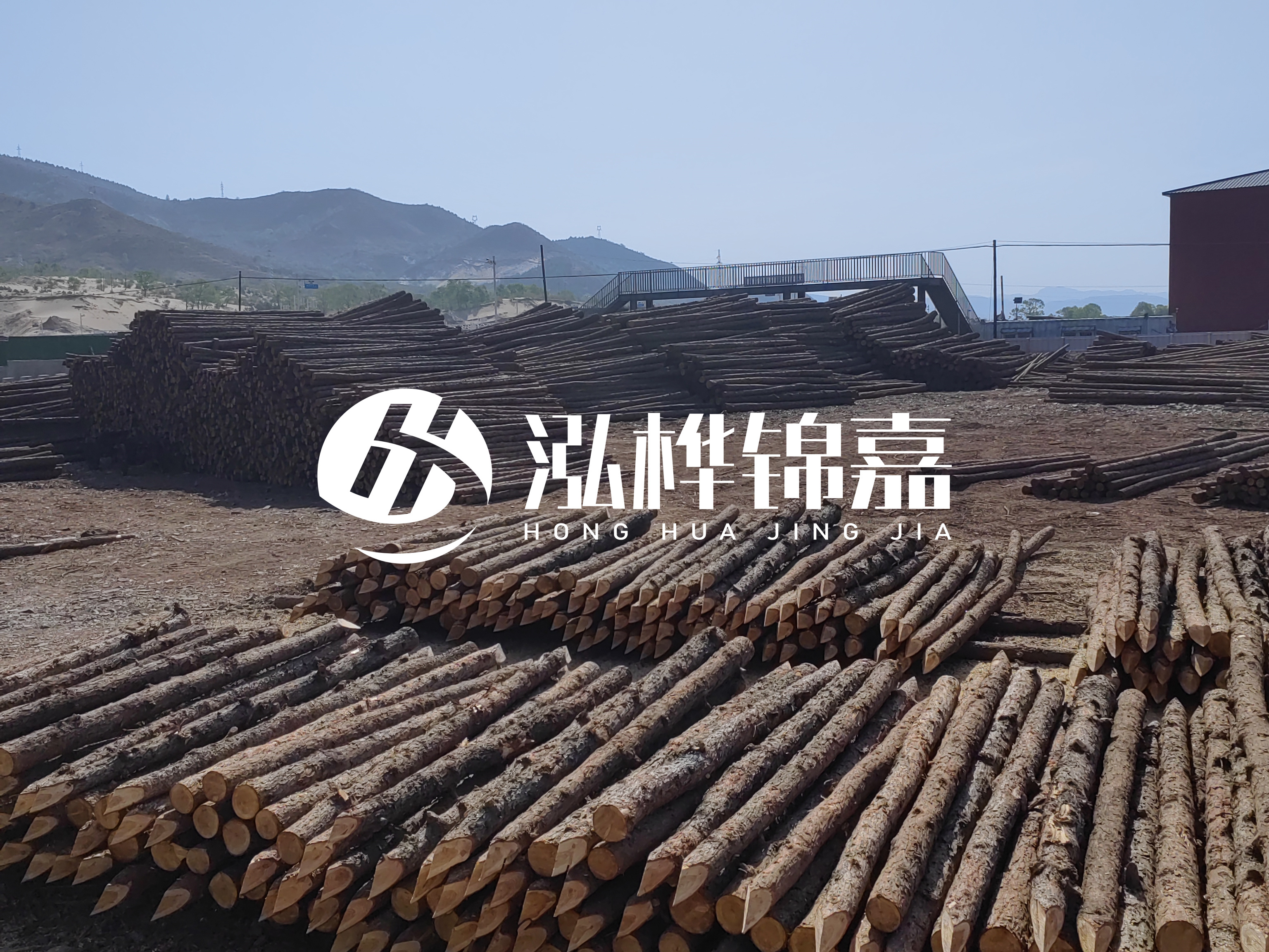江蘇打樁木源頭廠家泓樺錦嘉-4米打樁木大頭14-16小頭一般多少？