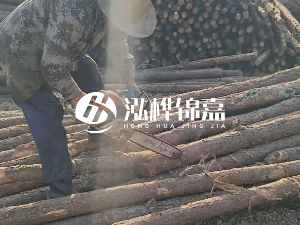 廣東打樁木源頭廠家泓樺錦嘉 - 如何選擇適合特定邊坡的松木樁？