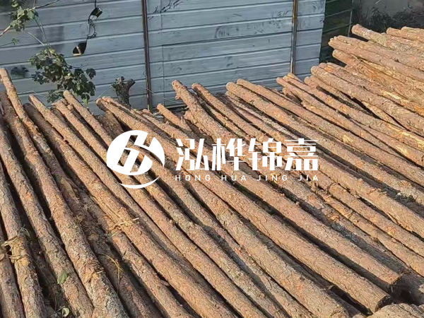 松木樁打樁后清淤怎么處理？有沒有全包的公司？