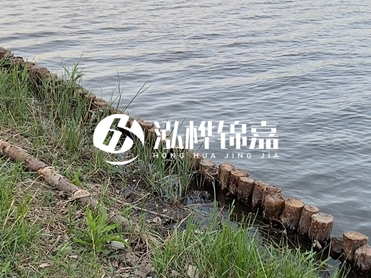 防洪松木樁施工重要性？河道打木樁的位置怎么確定？
