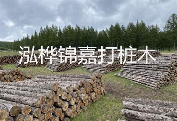 預(yù)制松木樁施工工藝：優(yōu)質(zhì)材料，高效快速，堅(jiān)固耐用