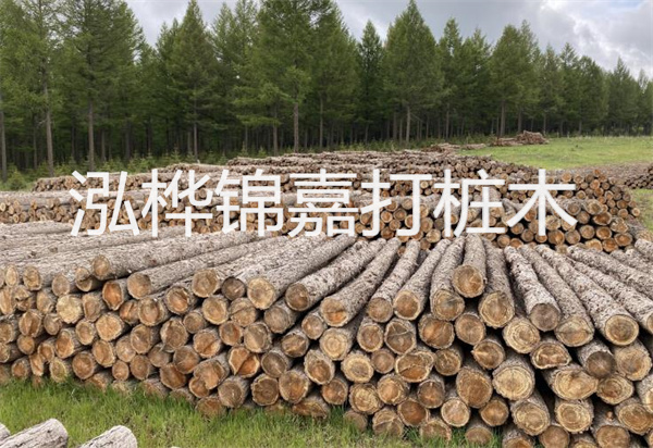 松木樁能施工嗎？探究視頻揭秘真相！