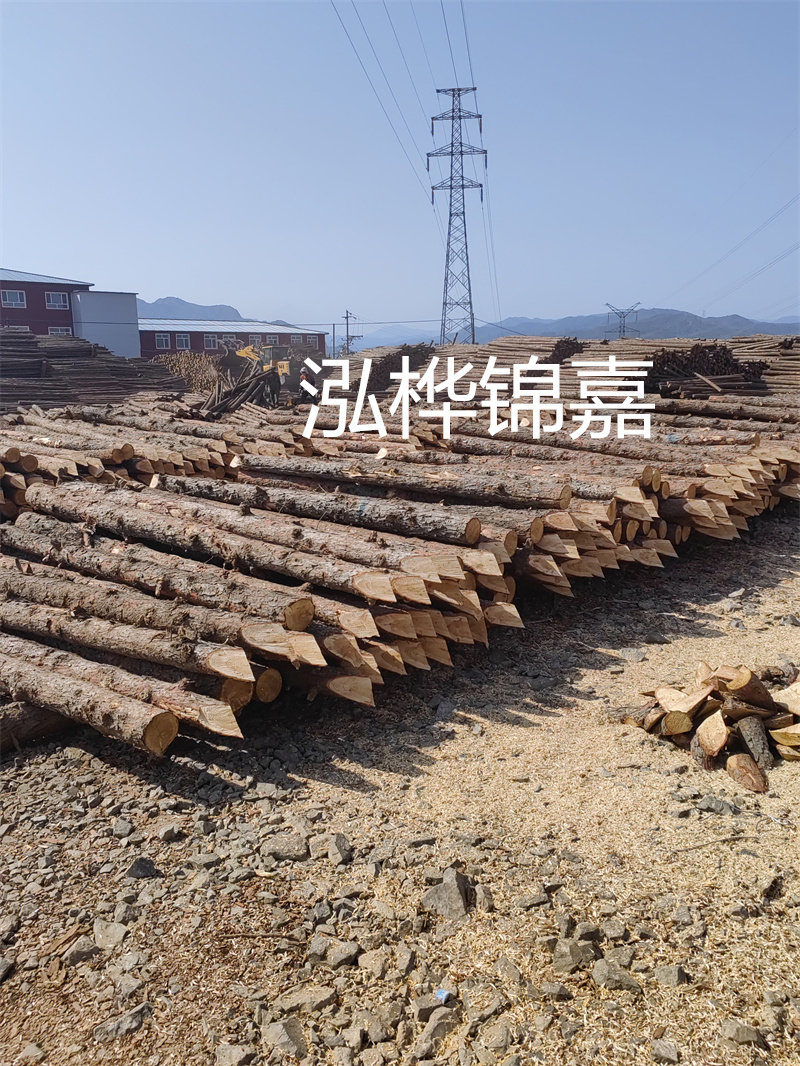 深入了解松木樁基礎(chǔ)施工單價，助力工程建設(shè)順利進(jìn)行！
