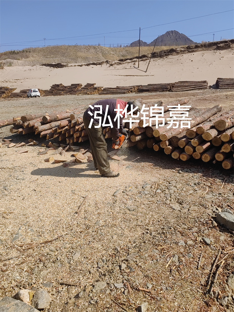松木樁駁岸施工，打造水上風(fēng)景線