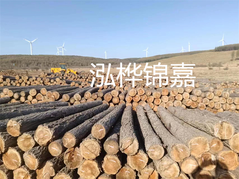 溫州松木樁施工廠家——為您打造堅(jiān)固穩(wěn)定的建筑基礎(chǔ)！