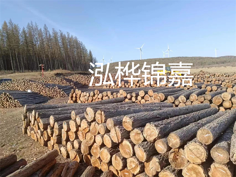 用路基松木樁施工方案提升工程質(zhì)量描述：了解路基松木樁施工方案的重要性，提高工程質(zhì)量關(guān)鍵詞：路基松木樁，施工方案，工程質(zhì)量