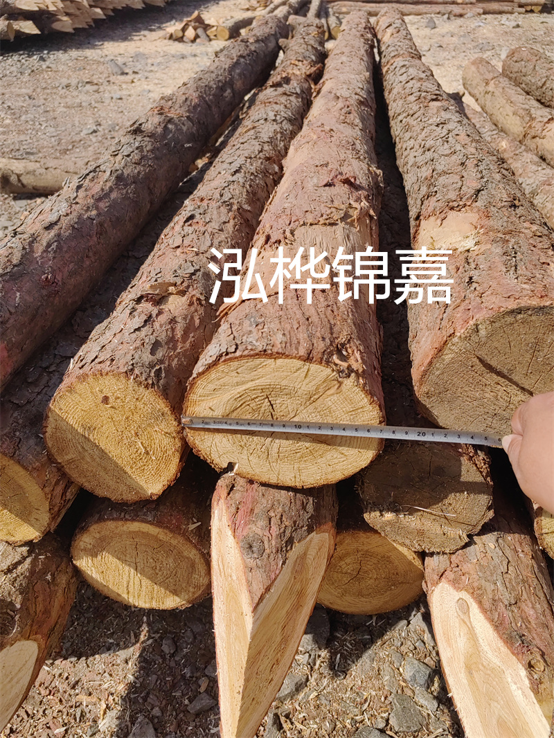 福建哪里買松木樁？