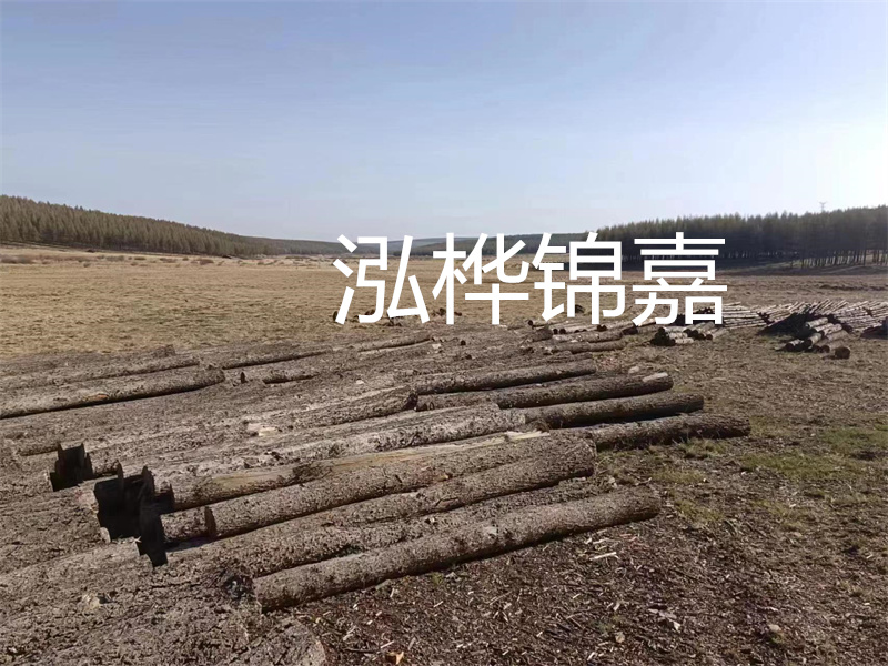鄂州松木樁哪里好？推薦泓樺錦嘉松木樁業(yè)！